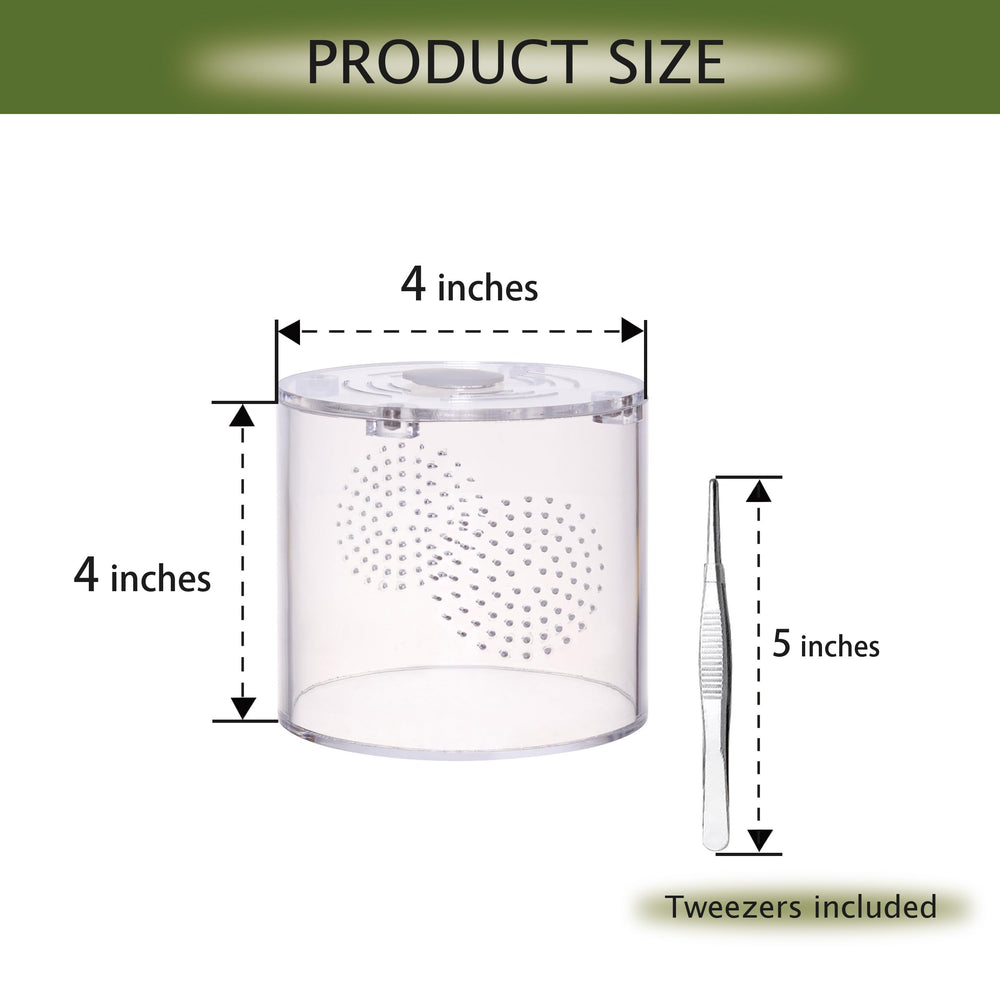 Terrario acrilico LIZ QNNALY para reptiles medianos, orientacion horizontal.