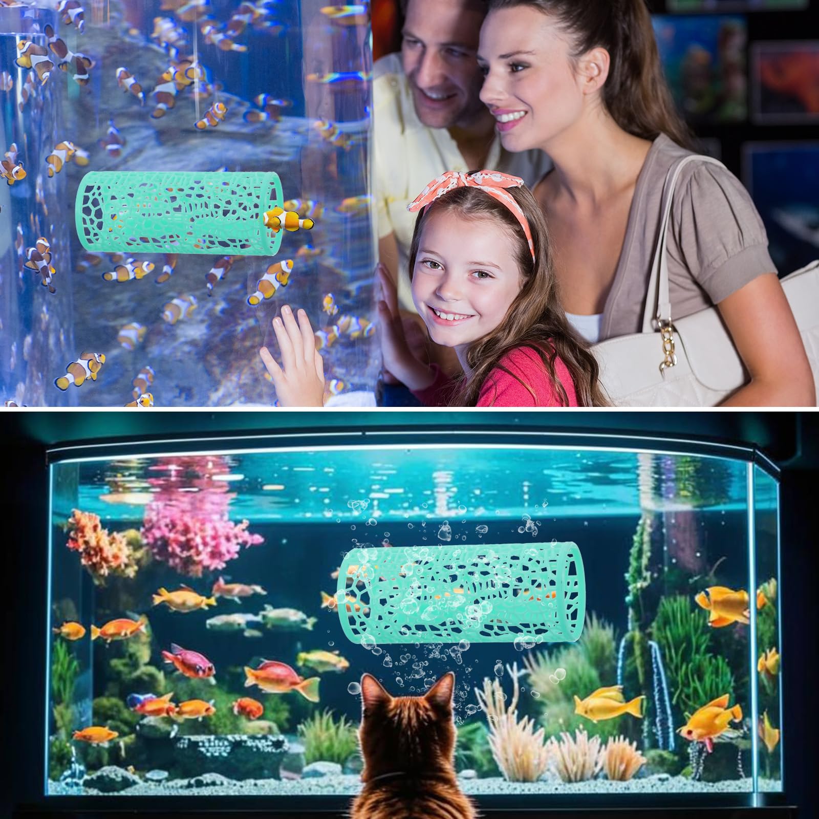 LLOUSSAK decoracion-acuario-verde: añade estilo sutil al tanque.