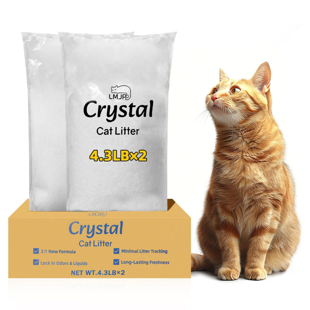LMJP arena de cristal para gatos con absorción avanzada de humedad para bandeja limpia