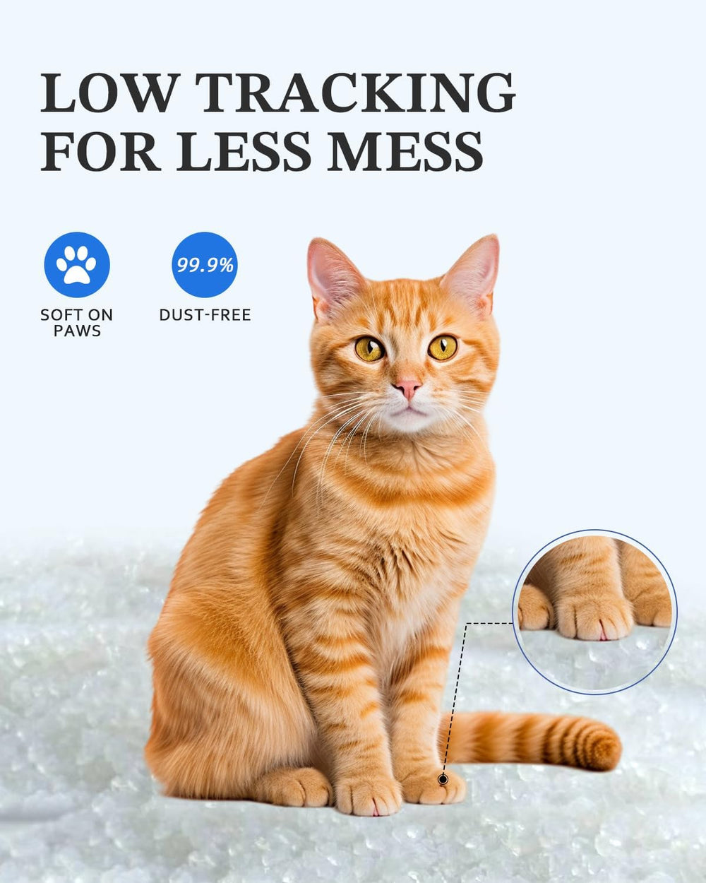 LMJP arena de cristal para gatos sin fragancia para narices sensibles