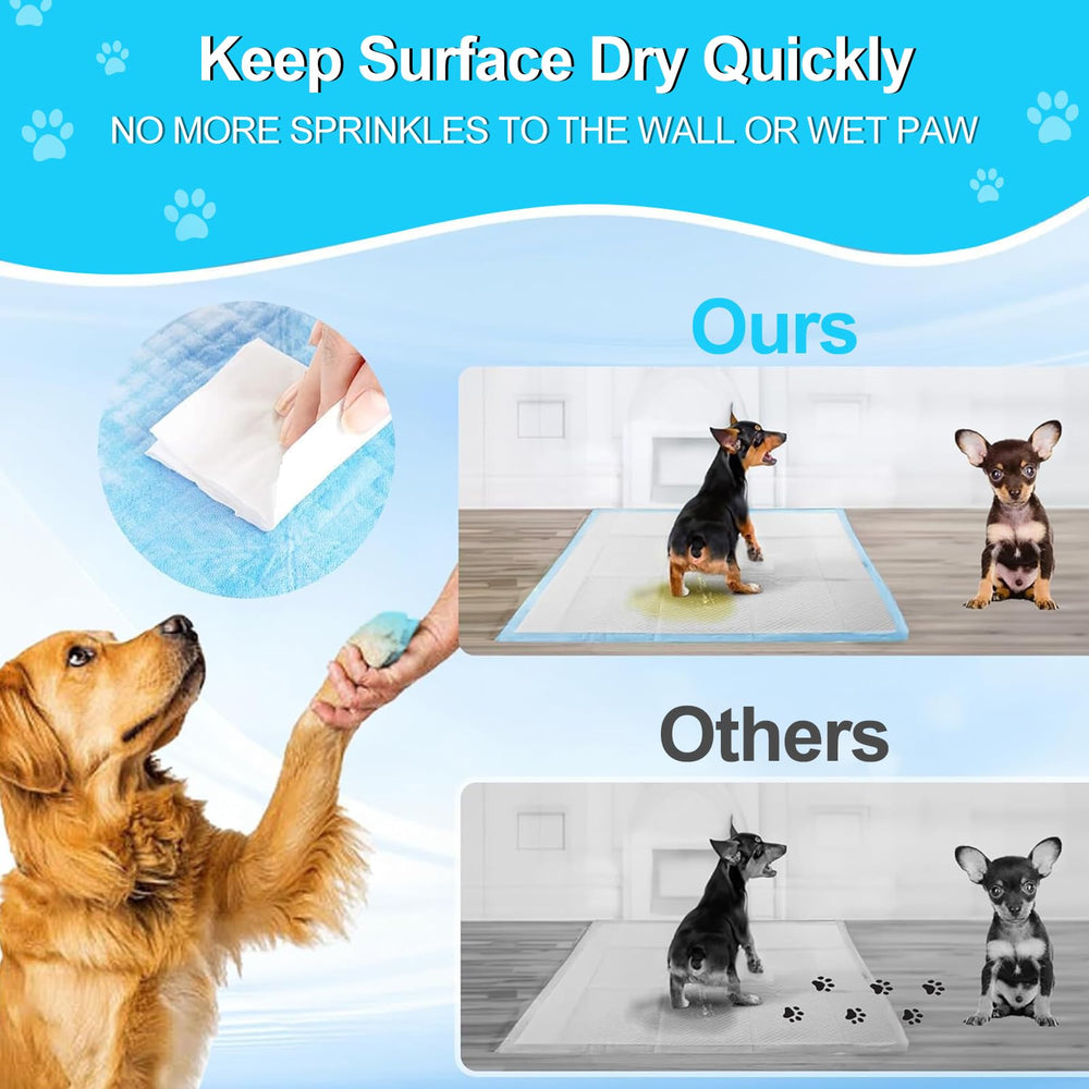 Pee Pads LNWJSRX diseño grueso y resistente, mayor absorción y durabilidad.