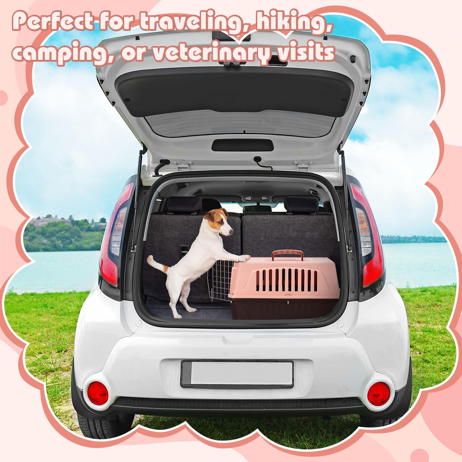 Locmeo transportín, asa superior para llevar con comodidad.