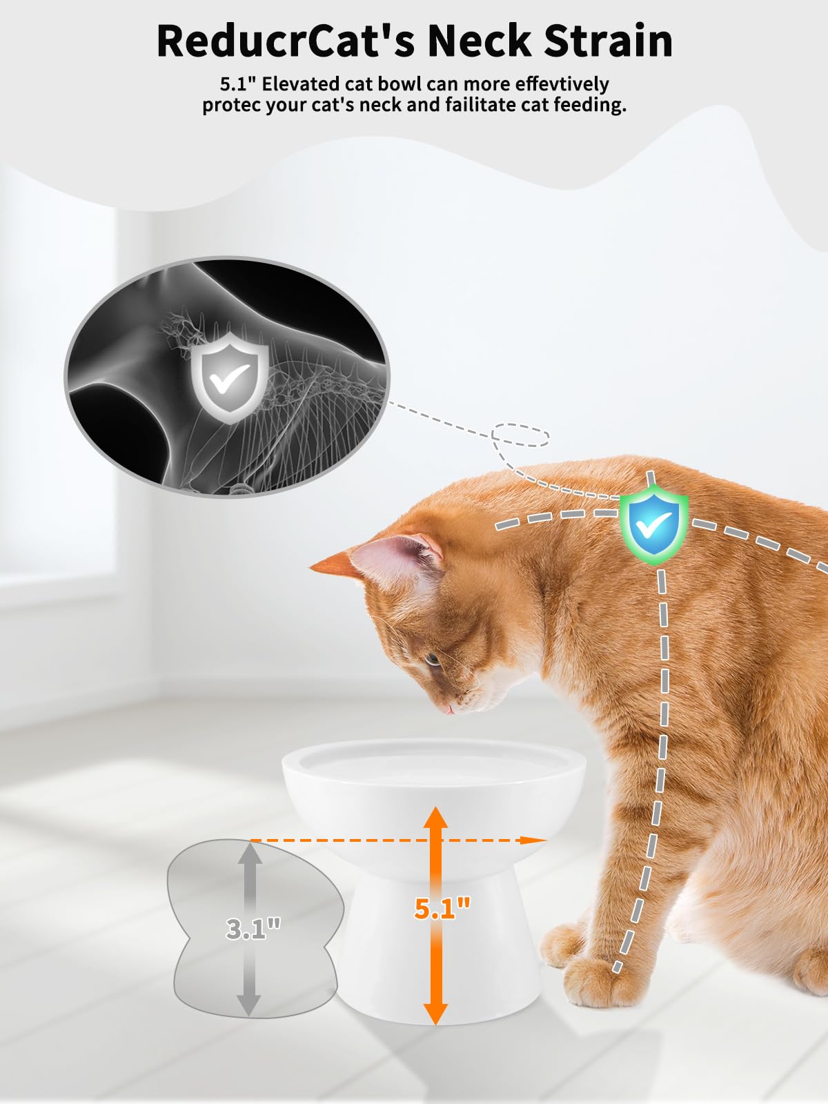 LoeJan cuenco-comida-gatos-inclinado, acceso sencillo y comida centrada.