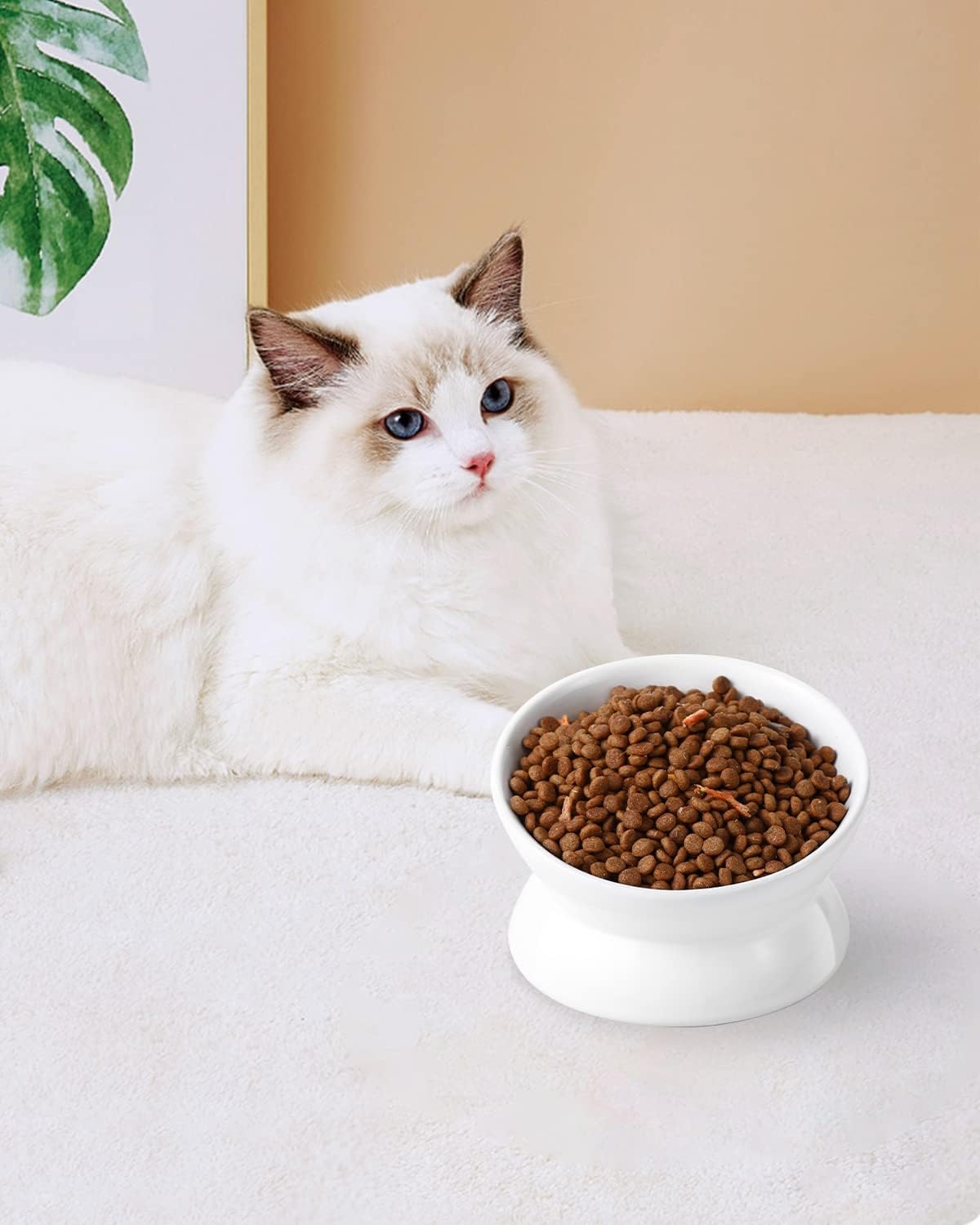 LoeJan conjunto de 3 tazones, ideal para varios gatos o perros pequeños.