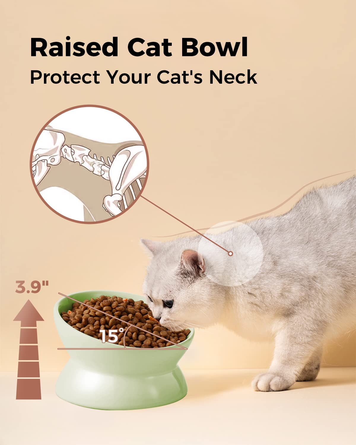 LoeJan para gatos con cara achatada, diseño ergonómico.