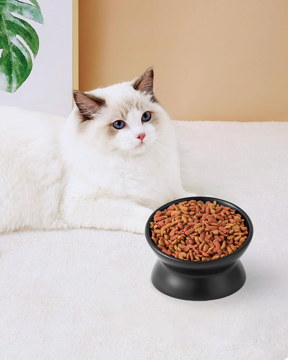 LoeJan tazón para alimentos y agua, diseño práctico para gatos.