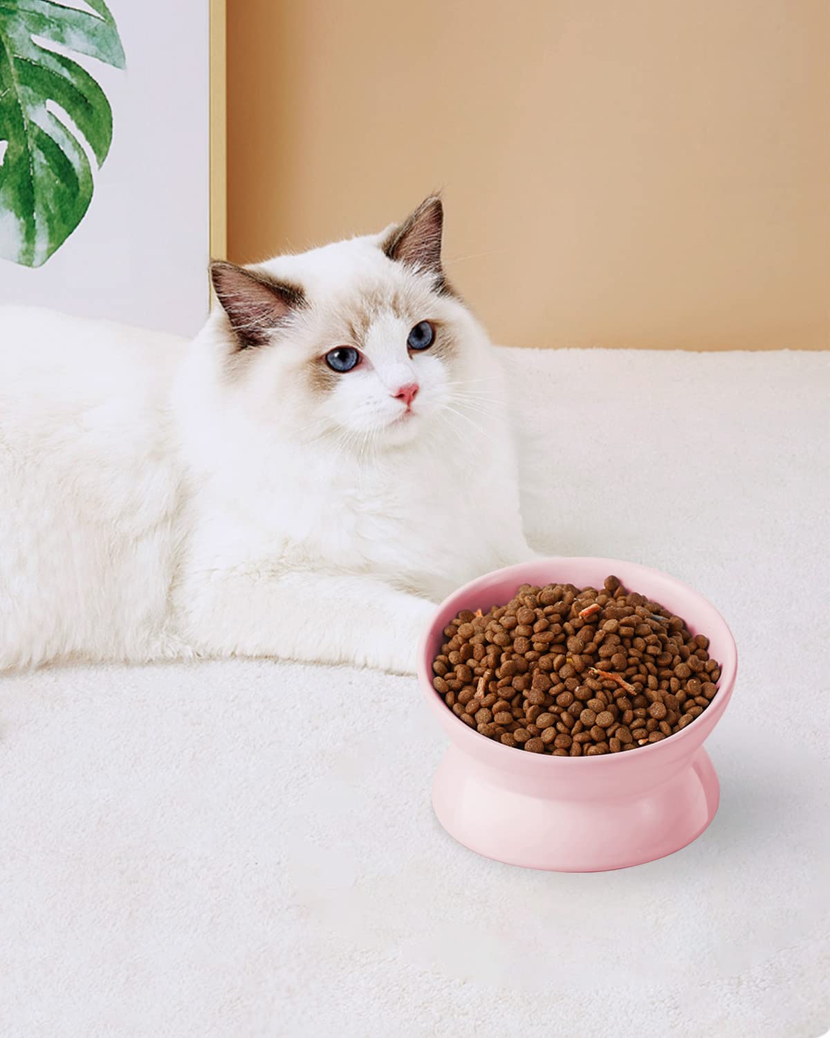 LoeJan uso diario para gatitos y perros pequeños, rosa.