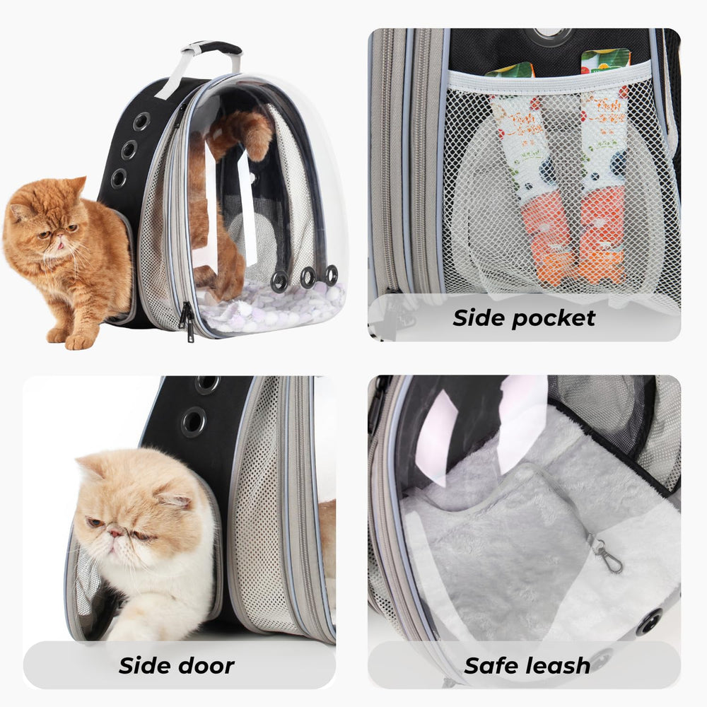 Lollimeow: base rígida con cojín removible para viajes cómodos