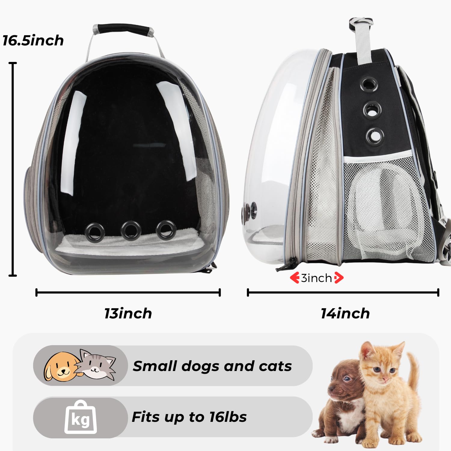 Lollimeow: dimensiones y expansión para gatos grandes y perros pequeños