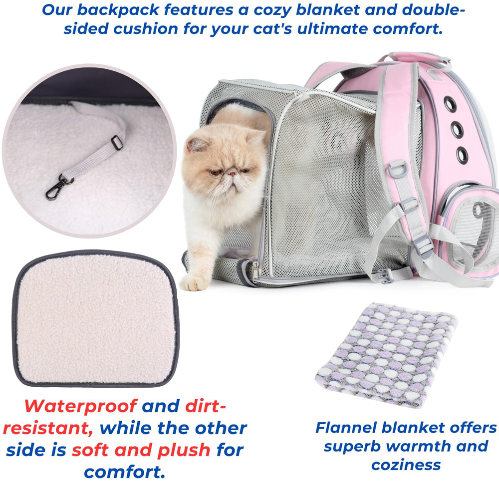 LOLLIMEOW admite mascotas de hasta 16 libras con diseño elegante