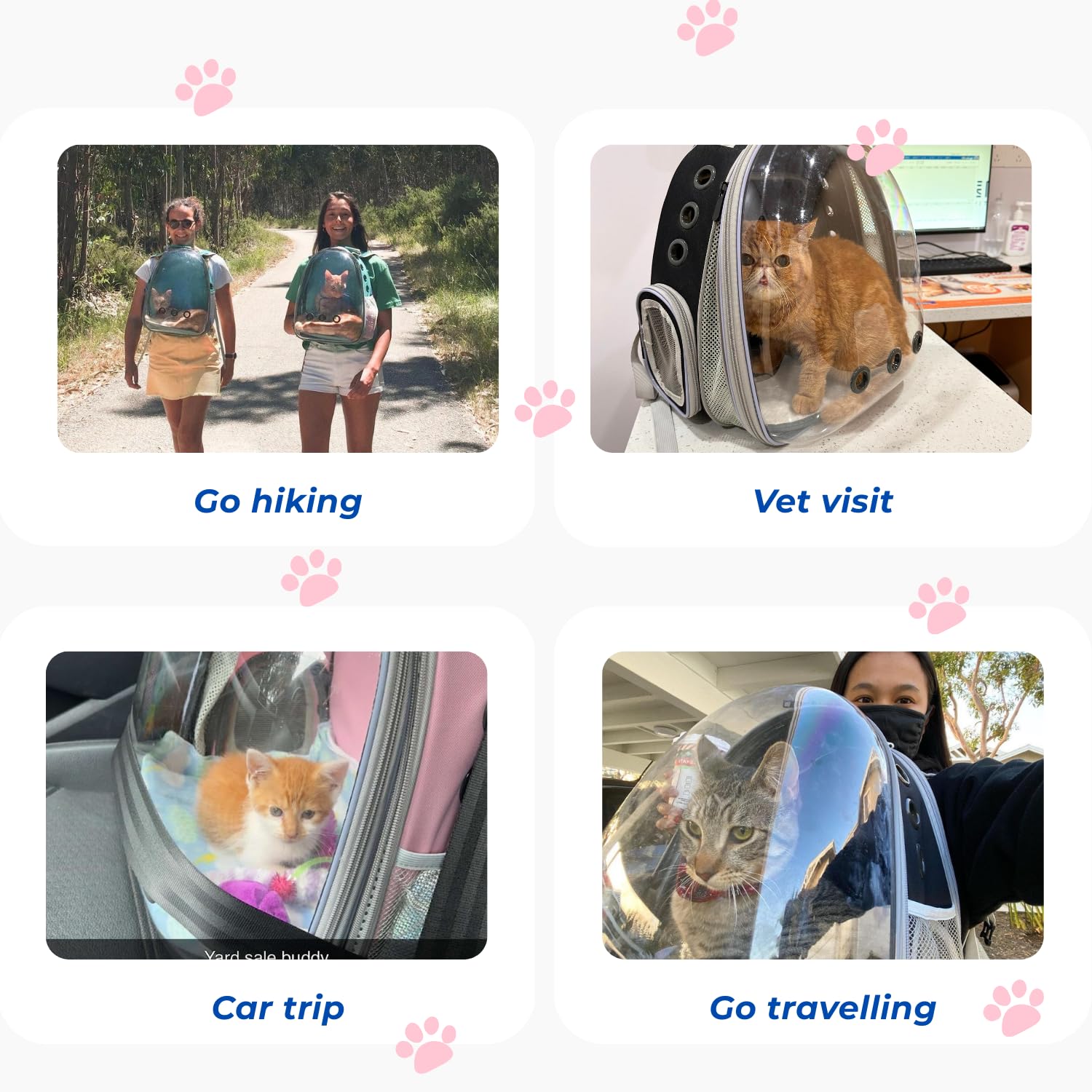 Lollimeow: ideal para viajes y aventuras al aire libre con mascotas pequeñas