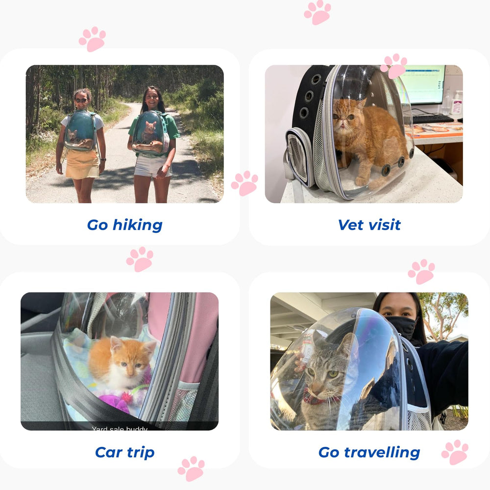 Lollimeow: ideal para viajes y aventuras al aire libre con mascotas pequeñas
