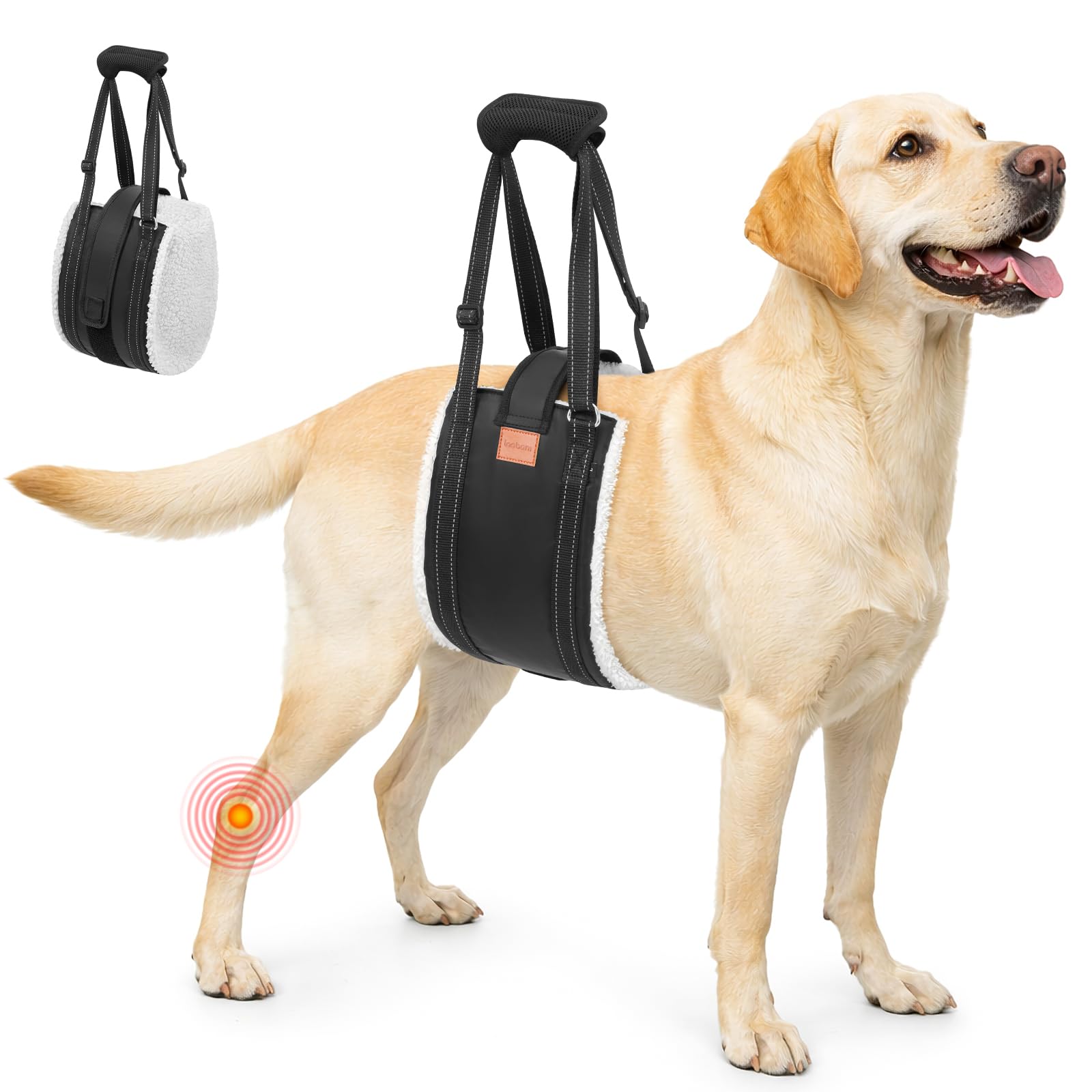 LOOBANI arnés de elevación para perros, soporte de piernas traseras para mayor estabilidad.