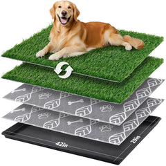 LOOBANI bandeja para perro grande con césped artificial para entrenamiento limpio