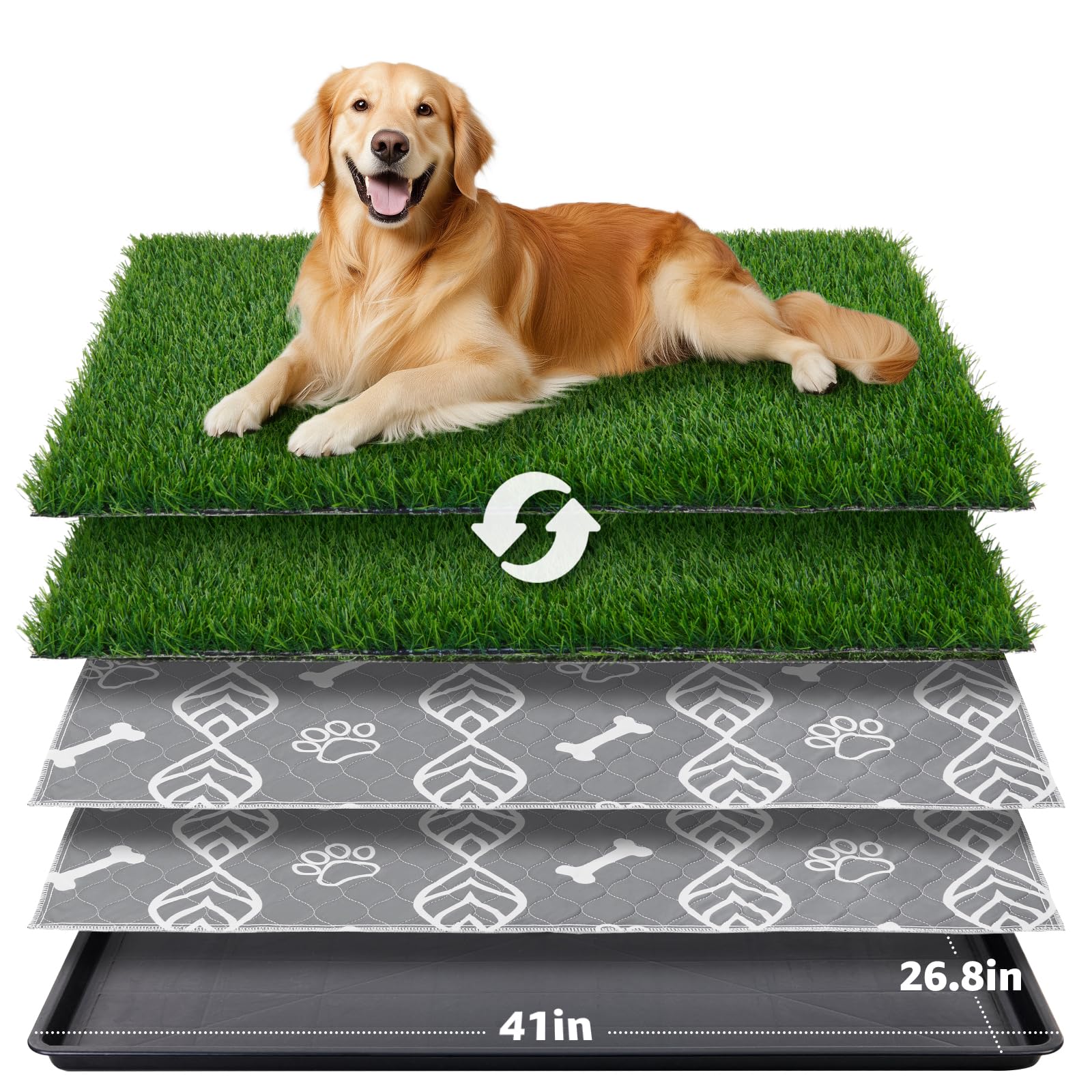 LOOBANI caja para perros, vista general, ideal para entrenamiento y confort.
