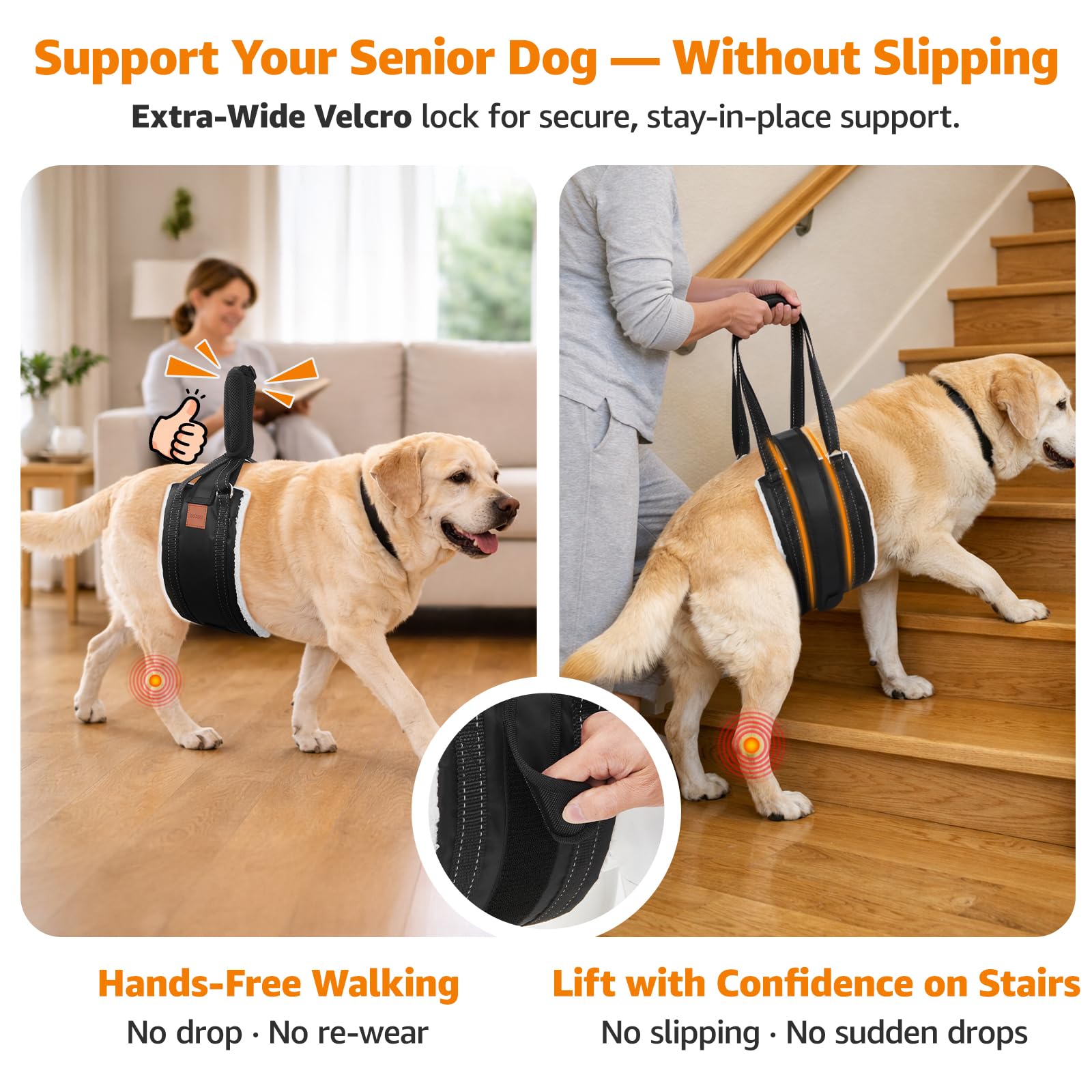 LOOBANI Sostén de patas traseras para rehabilitación y subir escaleras.
