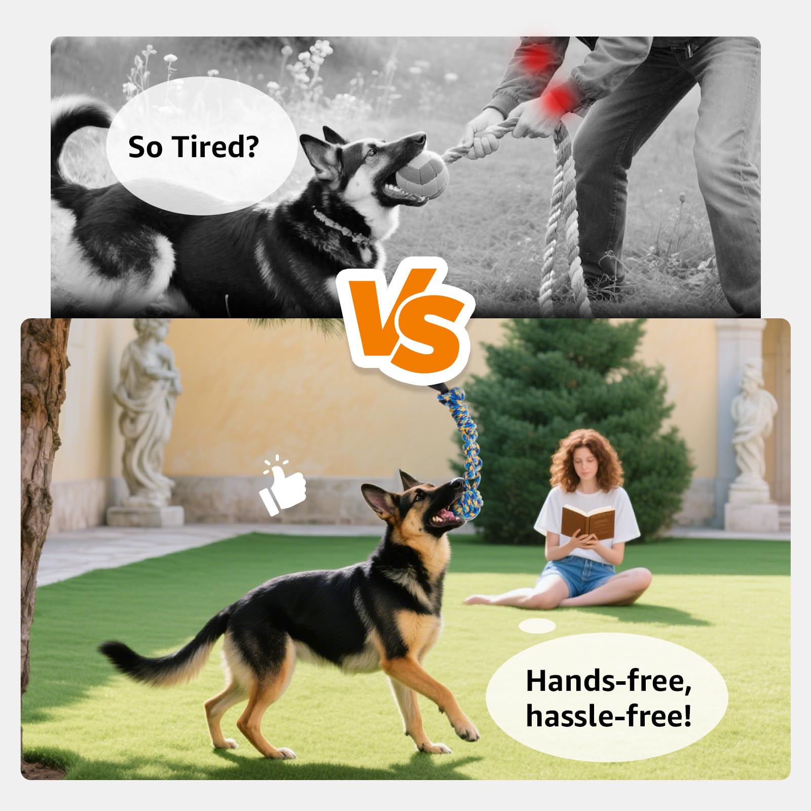 LOOBANI Ejercicio al aire libre para perros de diferentes tamaños