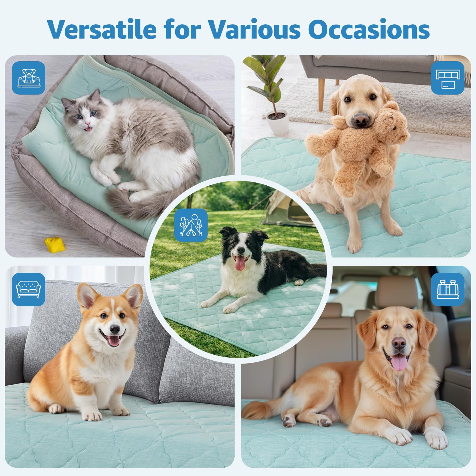 LOOBANI ideal para perros grandes, uso en casa y al aire libre.