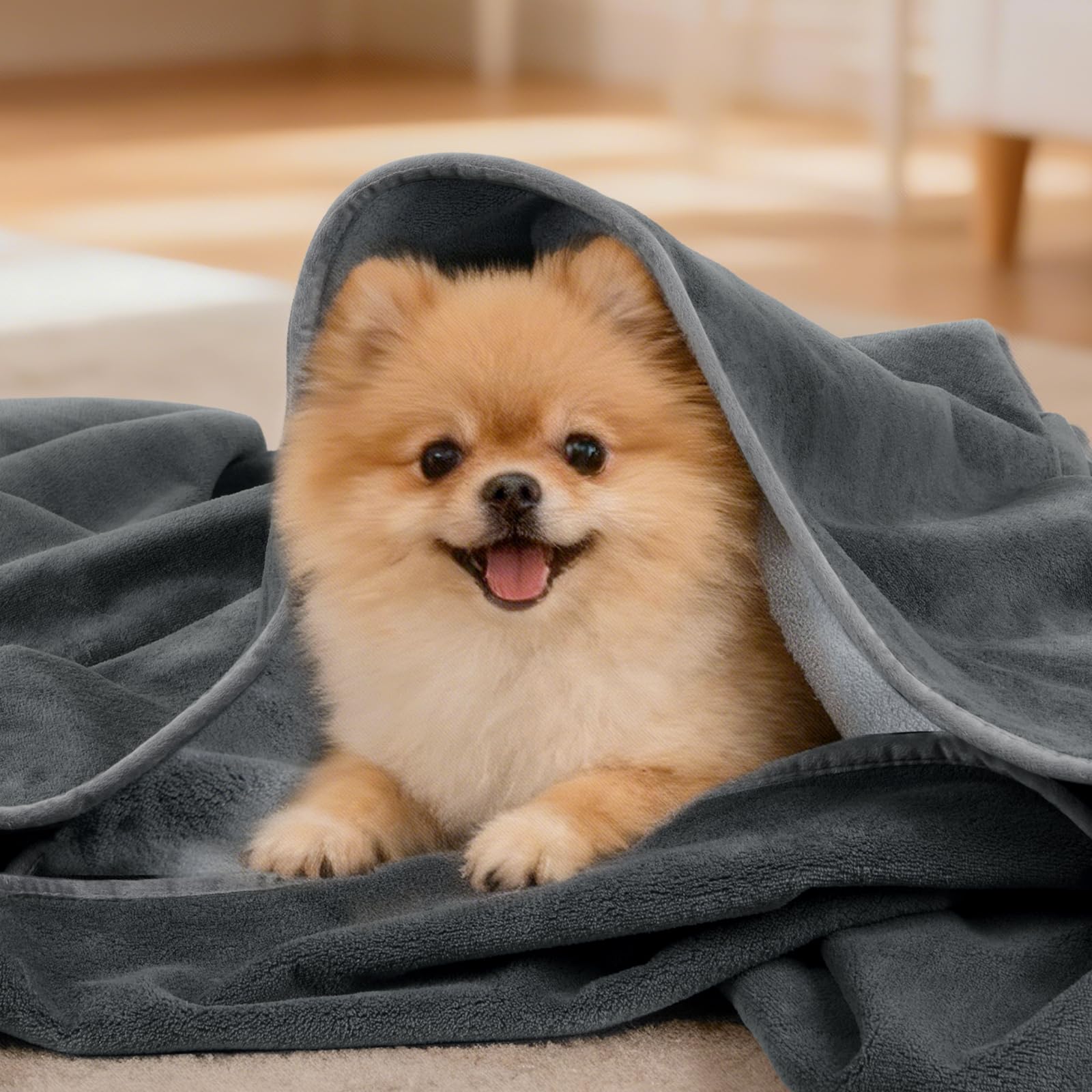 LOOBANI manta confort todo el año para tu compañero peludo.