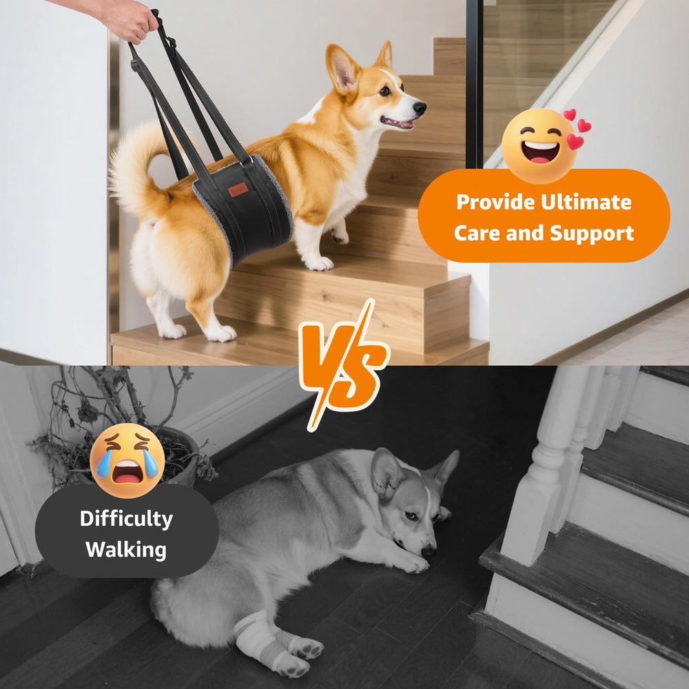 LOOBANI soporte de cadera para perros mejora la estabilidad durante levantamiento.