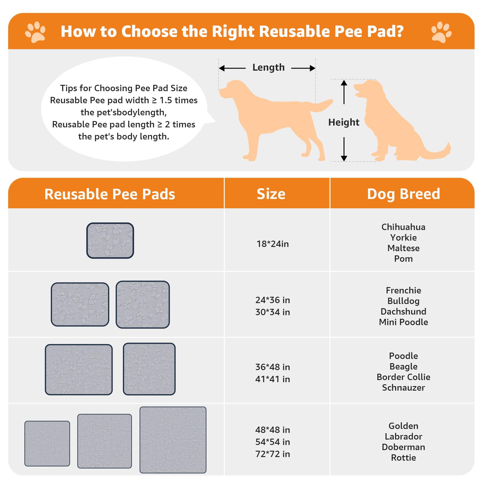 LOOBANI tamaño extra grande para perros grandes y entrenamiento prolongado.