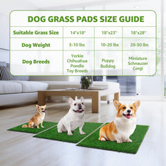 LOOBANI tapis herbe artificielle drainage rapide pour sols propres après usage