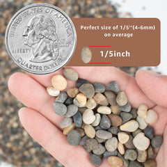 LOOIOOJ Piedras para acuario y acuarismo, seguras para peces y tortugas.