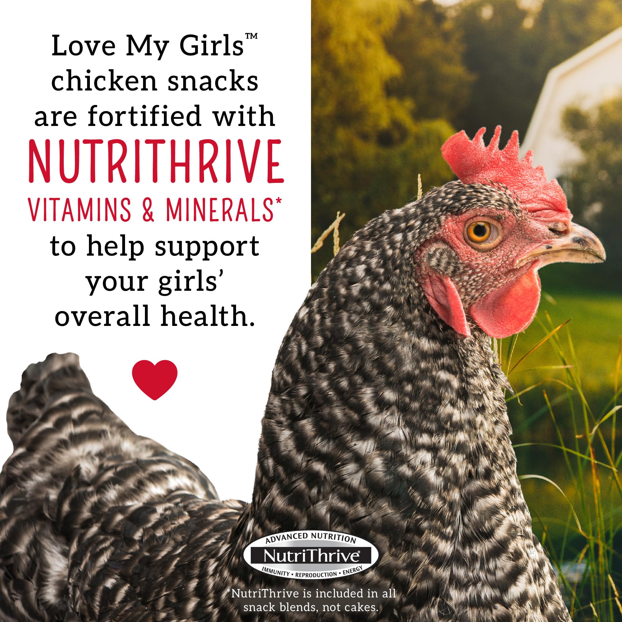 Love My Girls Nutri Thrive vitaminas y minerales para bienestar general.