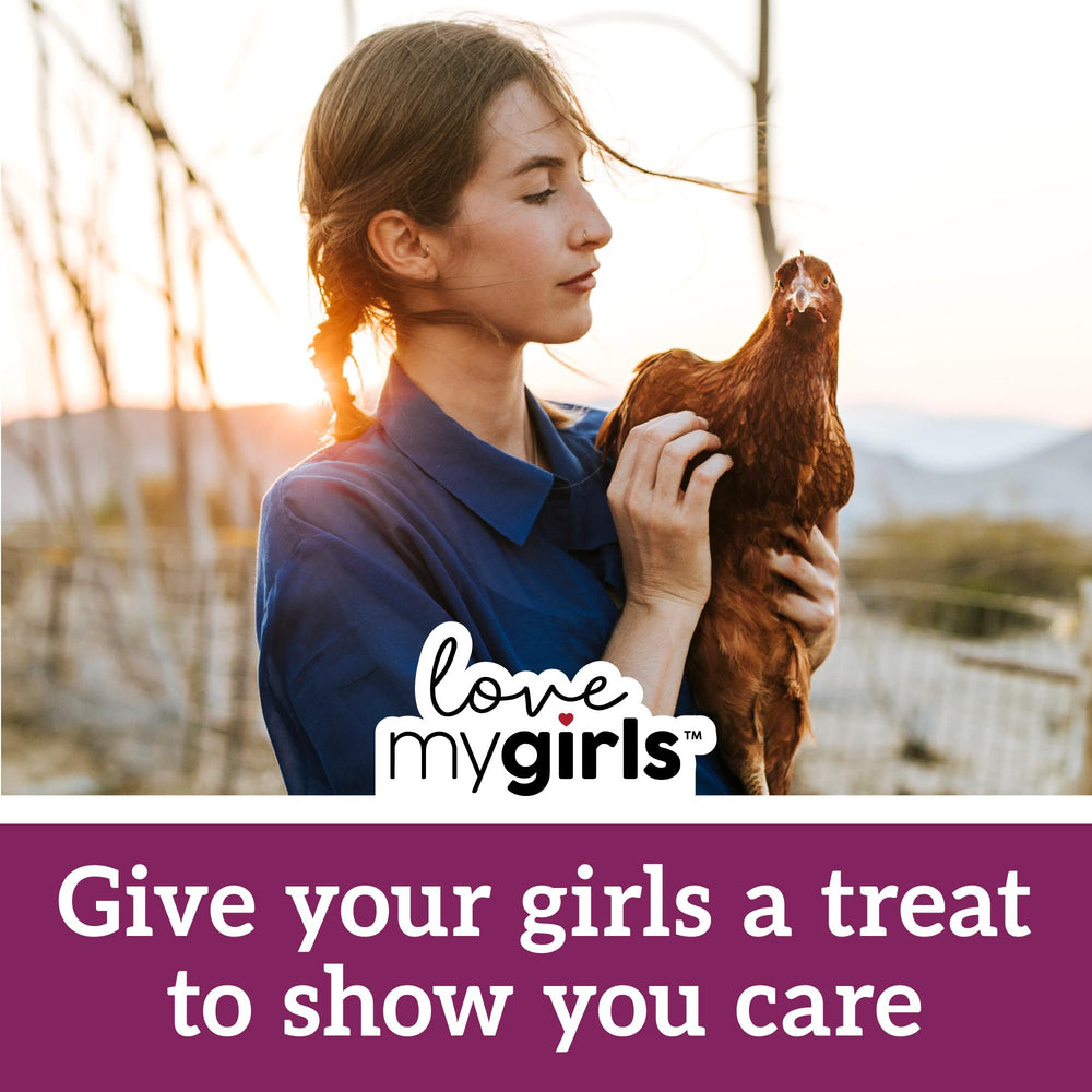 Love My Girls Snacks: mezcla selecta para atraer a las aves al comedero.