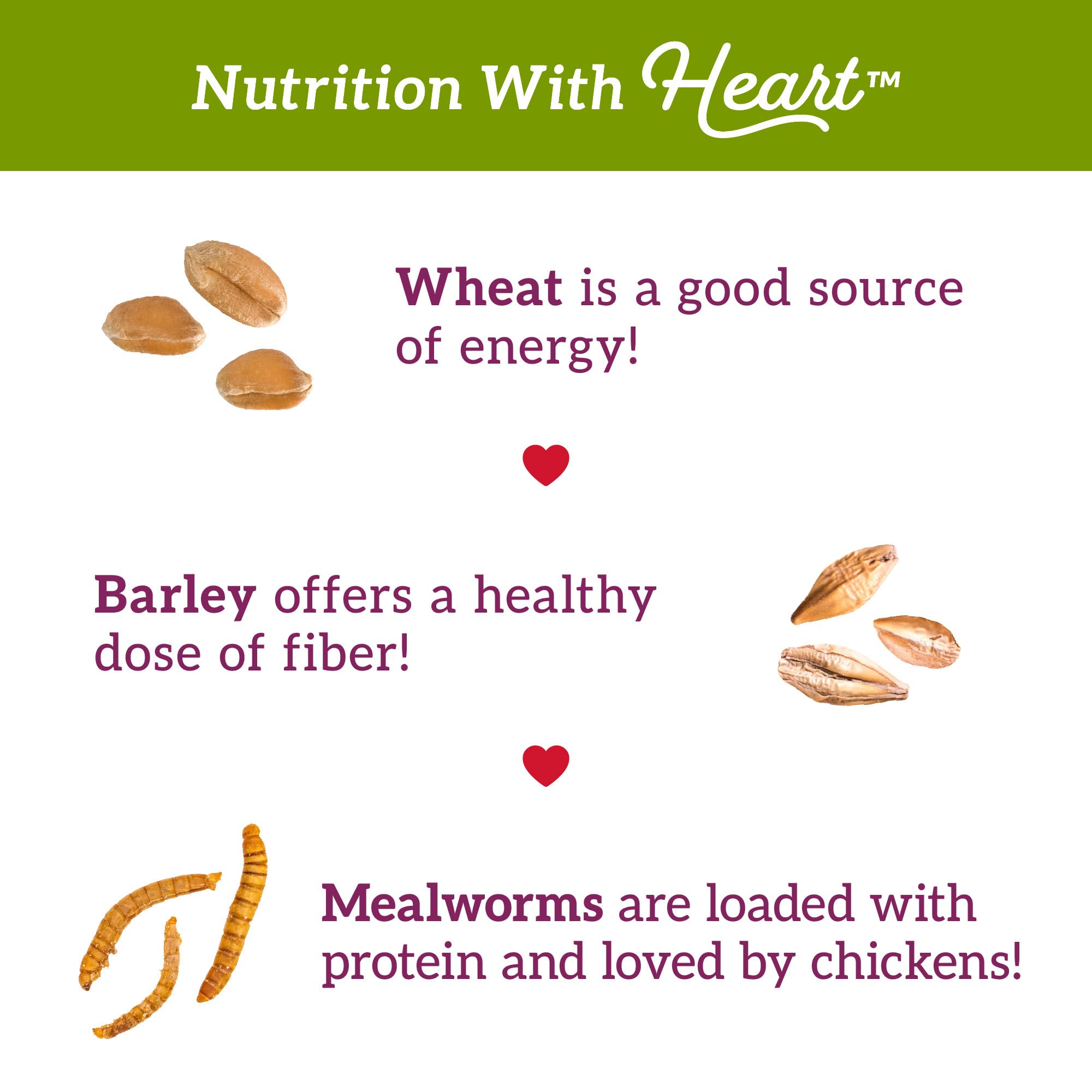 Love My Girls Snacks: sin maíz para nutrición suave y digestible en aves.