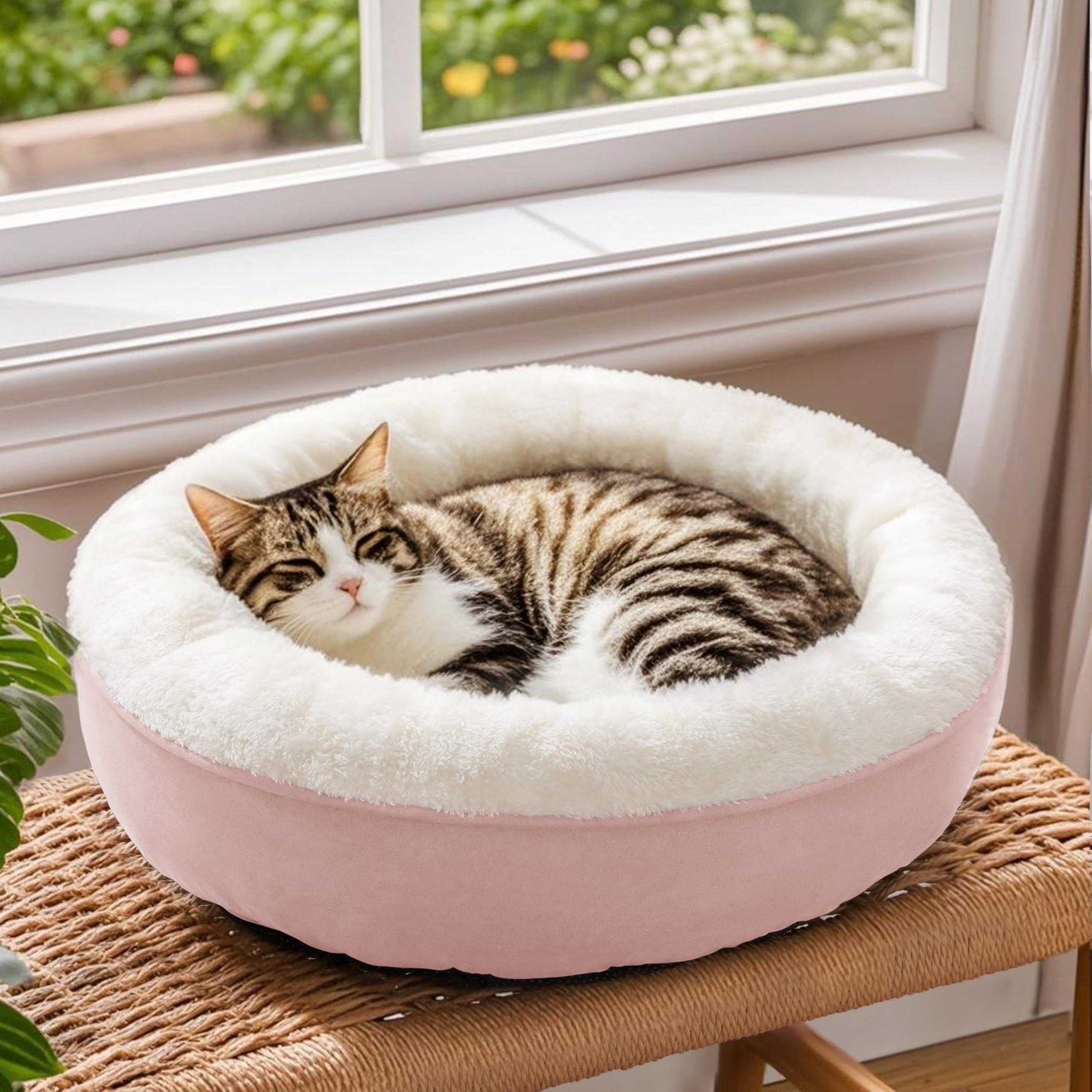 Love's cabin cama donut uso diario para gatos y perros pequeños en casa.