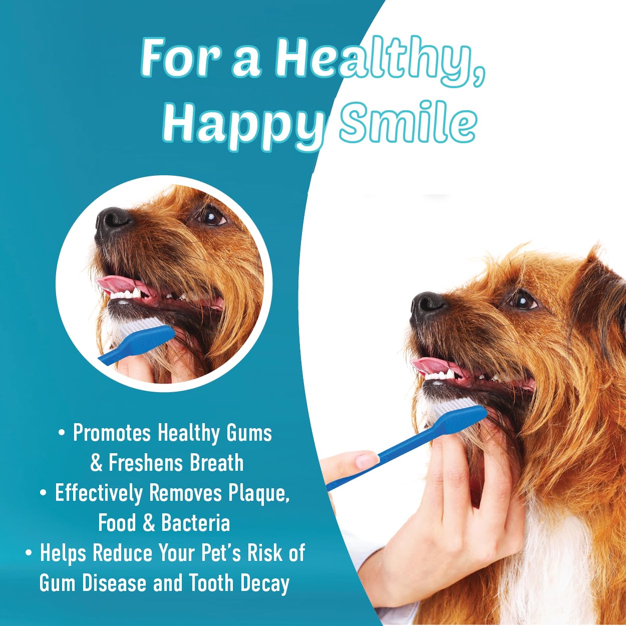 LOVINPUP doble cabezal cepillo dientes permite alcanzar dientes traseros