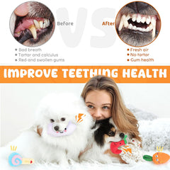Material seguro LOYEE, teether para cachorro sin toxinas