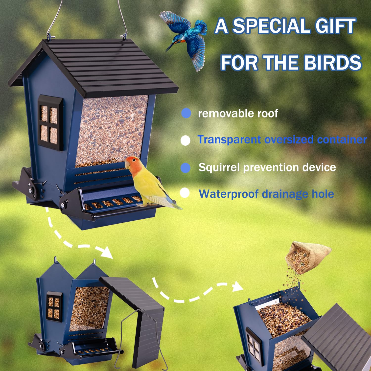 LSCQYYCC comedero aves vidrio transparente, visualiza semillas fácilmente