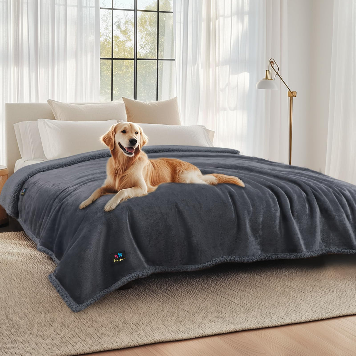 Luciphia manta impermeable para mascotas sobre el sofá, protege muebles