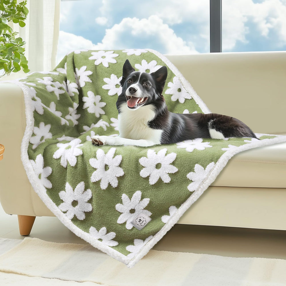 Luciphia manta impermeable para mascotas, protección y comodidad para sofá y cama.