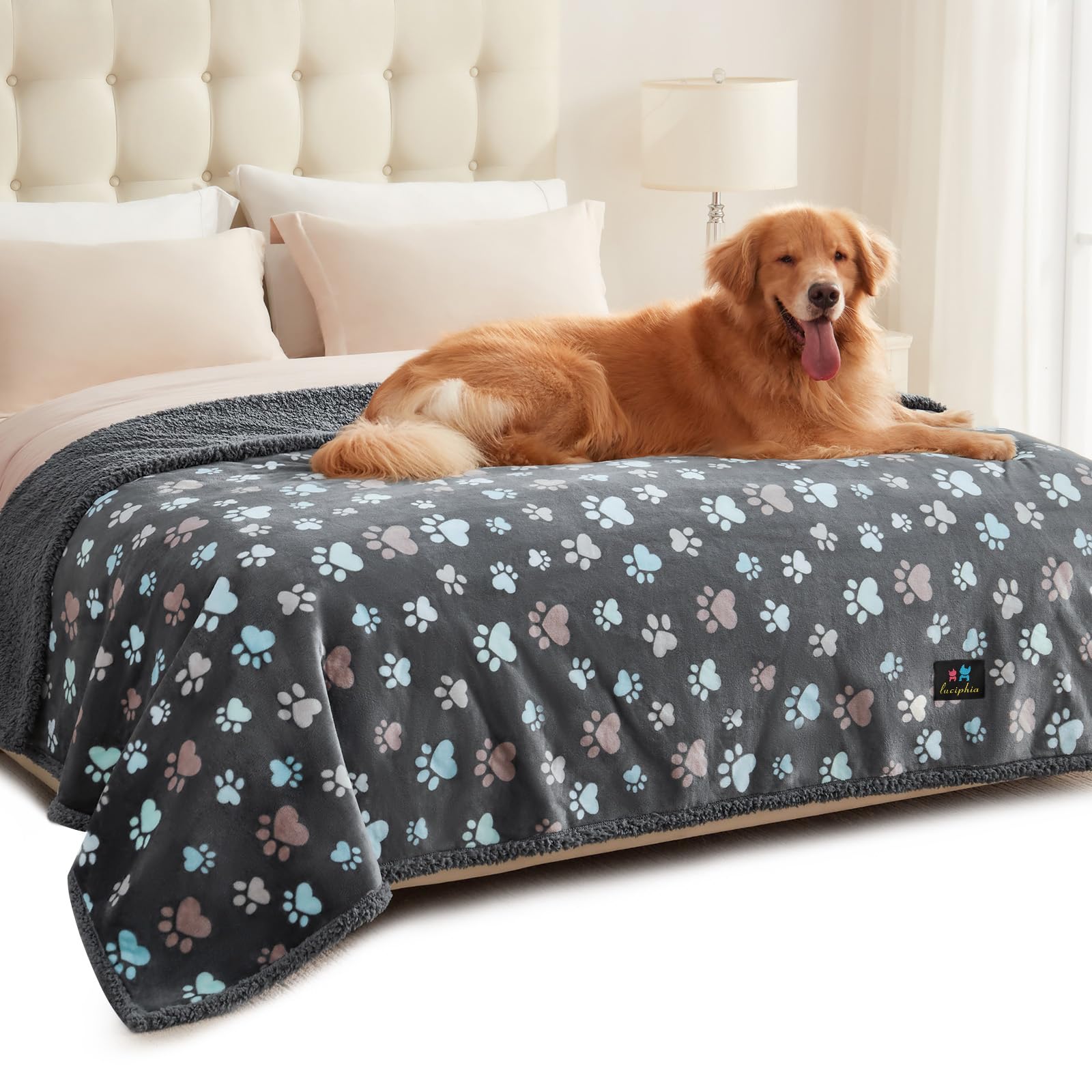 Luciphia manta impermeable para perros sobre el sofá, protegiendo el mobiliario