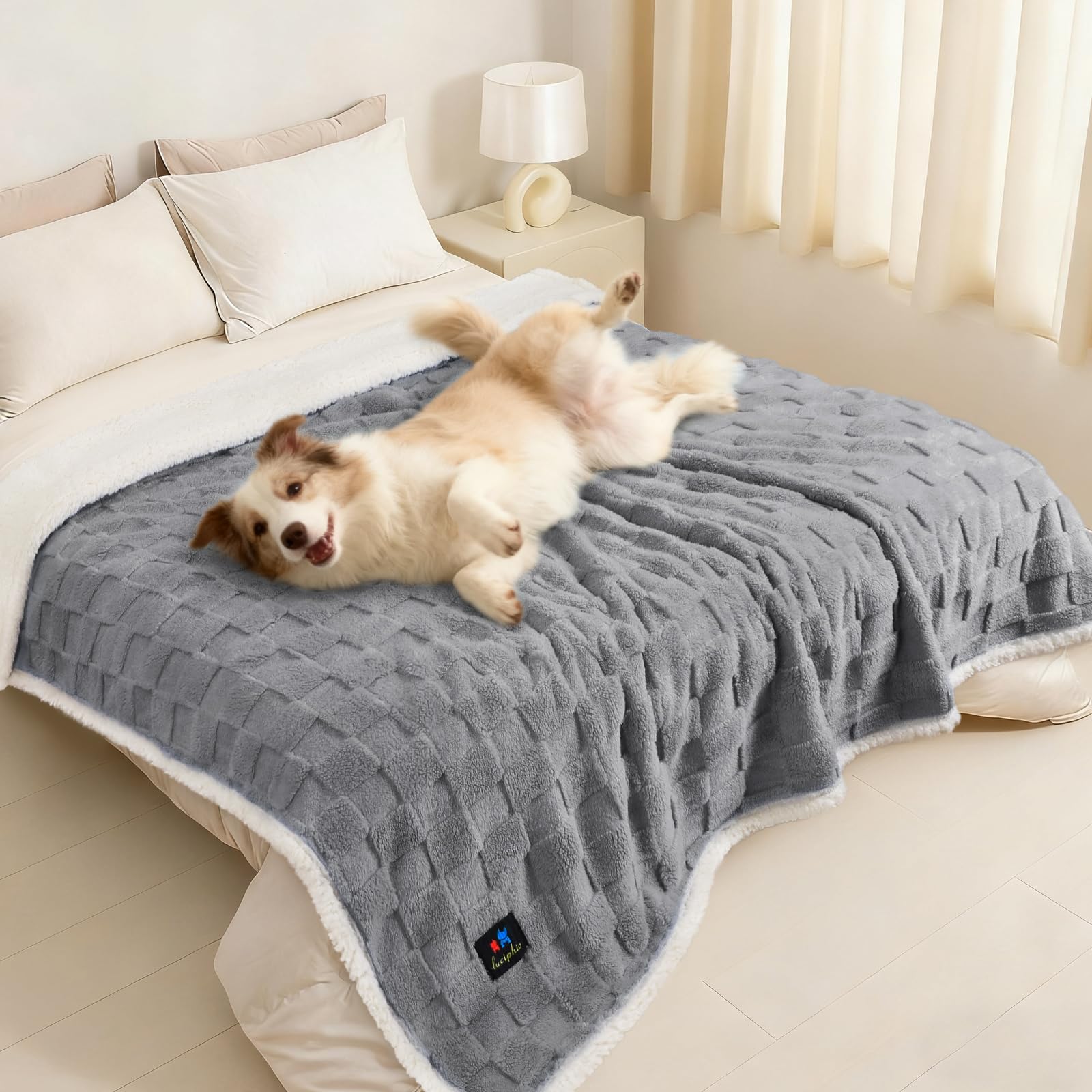 Luciphia manta impermeable para sofá protege muebles y mantiene al perro cómodo