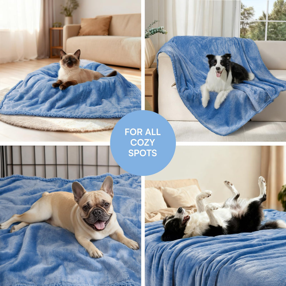 Luciphia manta disponible en tallas para perros y gatos pequeños, medianos y grandes