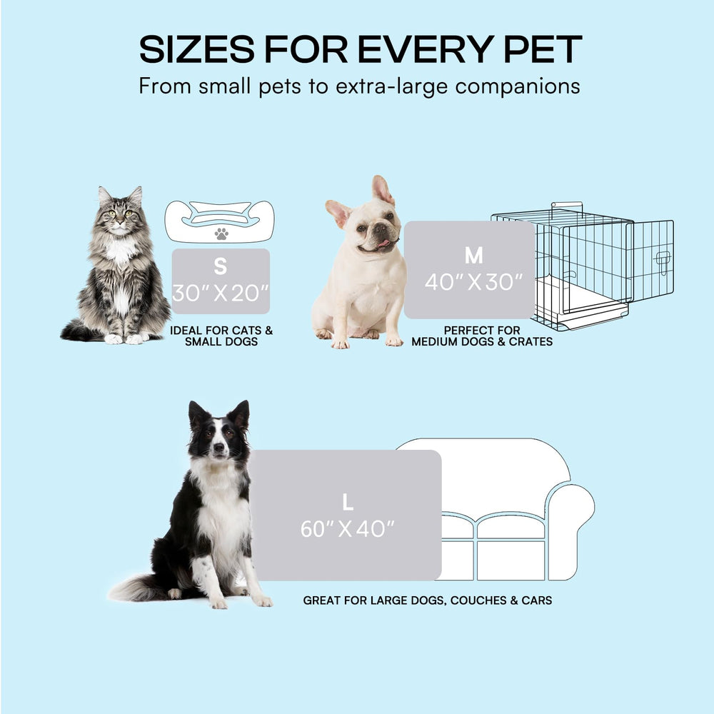 Luciphia disponible en tres tallas para perros de diferentes tamaños.