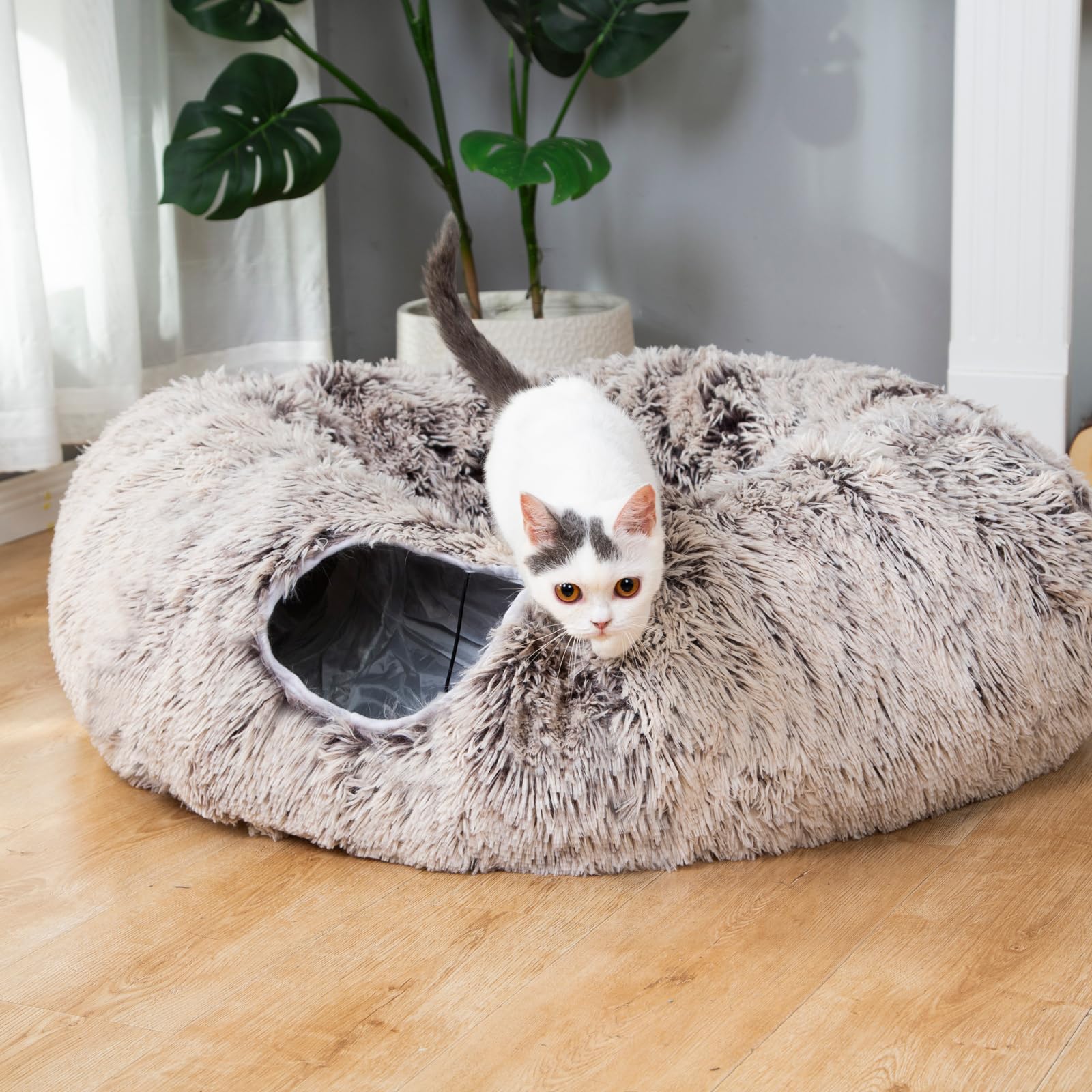 LUCKITTY tunel-gato-juguetes-incuidos añade diversión con pelotas interactivas