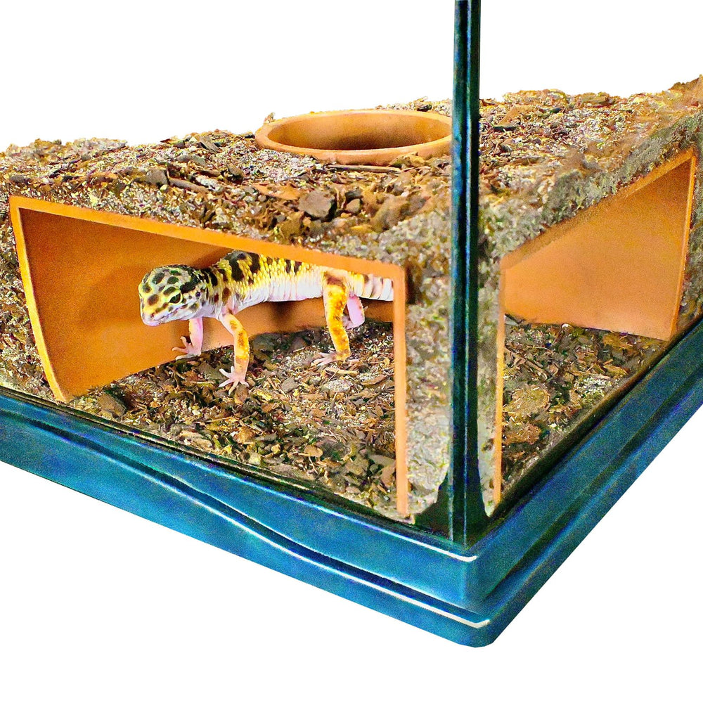 Lucky Critter cueva de esquina frontal para observar reptiles con claridad.