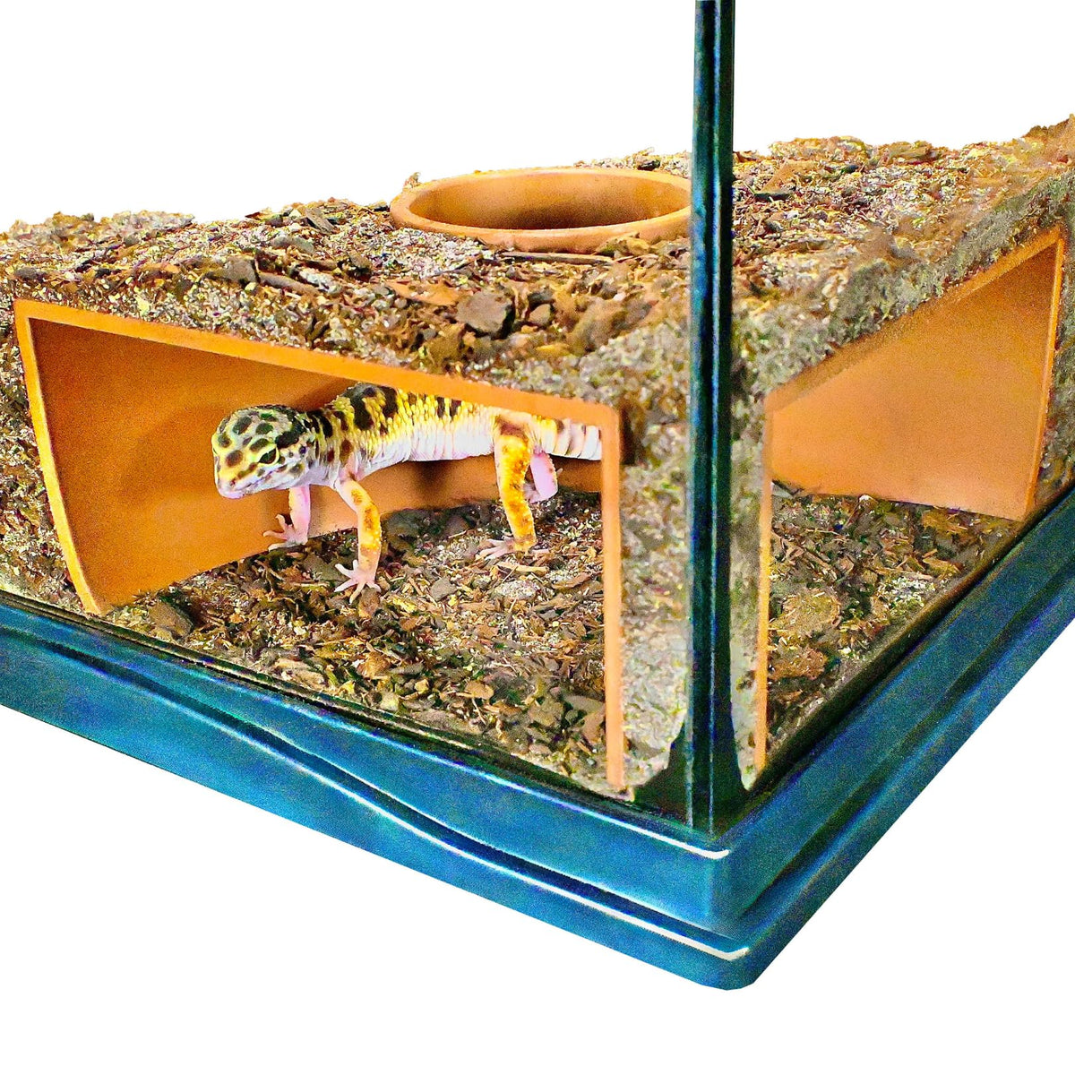 Lucky Critter cueva de esquina frontal para observar reptiles con claridad.
