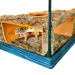 Lucky Critter cueva de esquina frontal para observar reptiles con claridad.