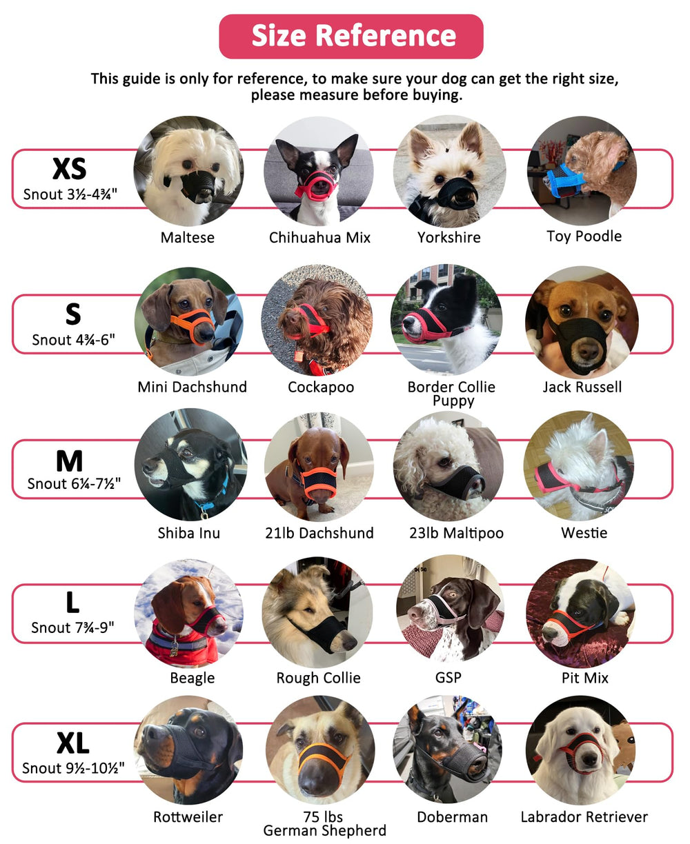 LUCKYPAW diseño ligero que reduce la carga del perro