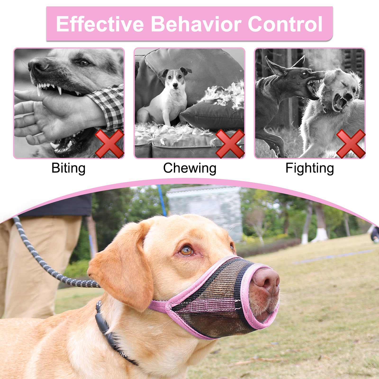 LUCKYPAW bozal para paseos diarios: facilita entrenamiento y manejo del comportamiento