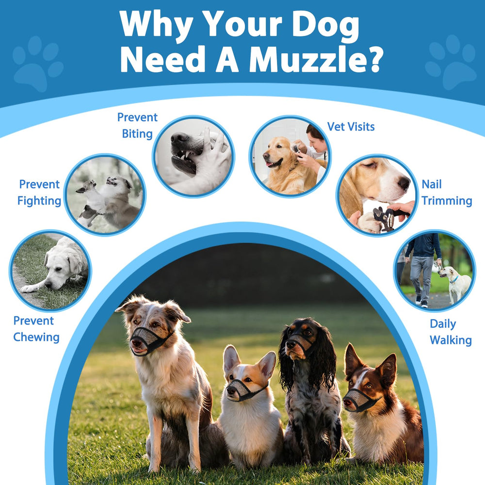 LUCKYPAW bozal de uso diario para perros activos.