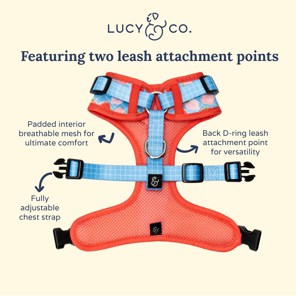 Arnés Lucy & Co: ajuste en cuello y pecho para un ajuste cómodo y adaptable.
