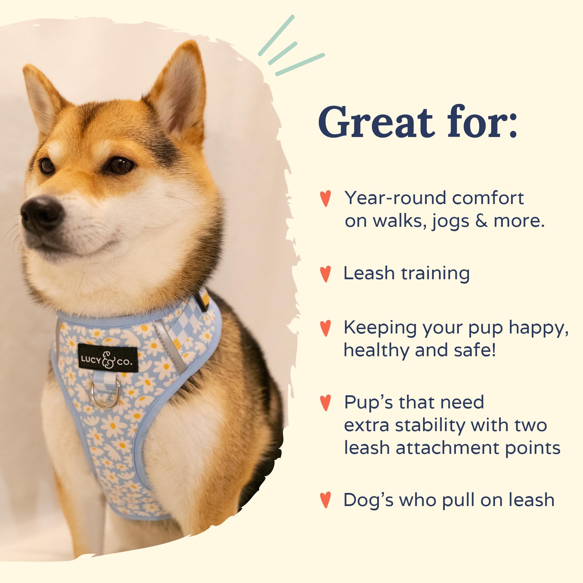 Arnés Lucy & Co. ideal para entrenamiento y paseos sin tirar