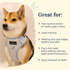 Arnés Lucy & Co. ideal para entrenamiento y paseos sin tirar